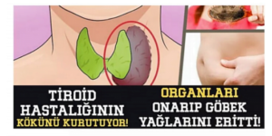 Tiroid’ler tüm vücudu etkiler